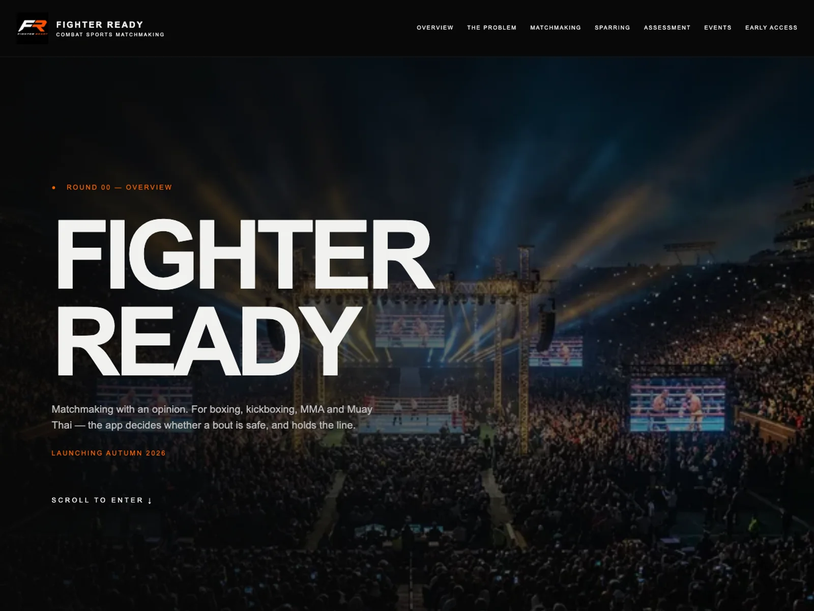 Fighter Ready independent website recreation screenshot